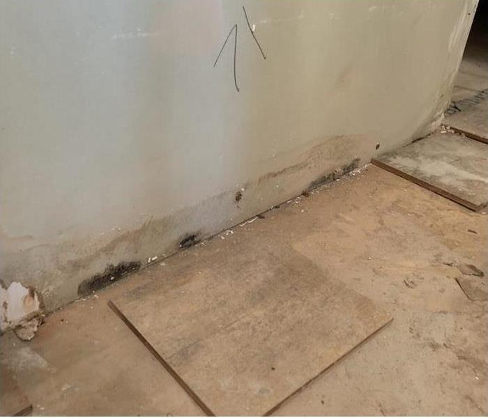 Mold damage on the walls of a  home