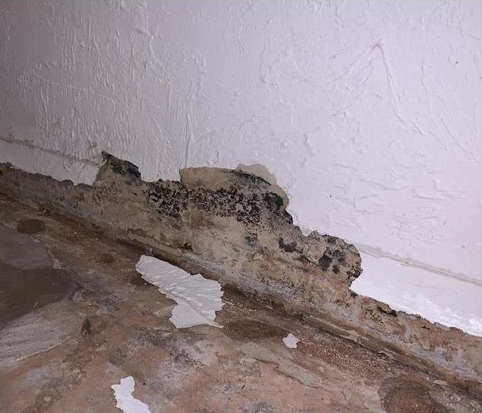A wall with areas filled with mold