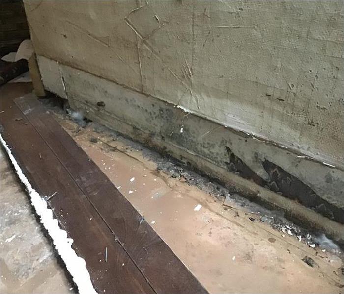 Mold found behind baseboard