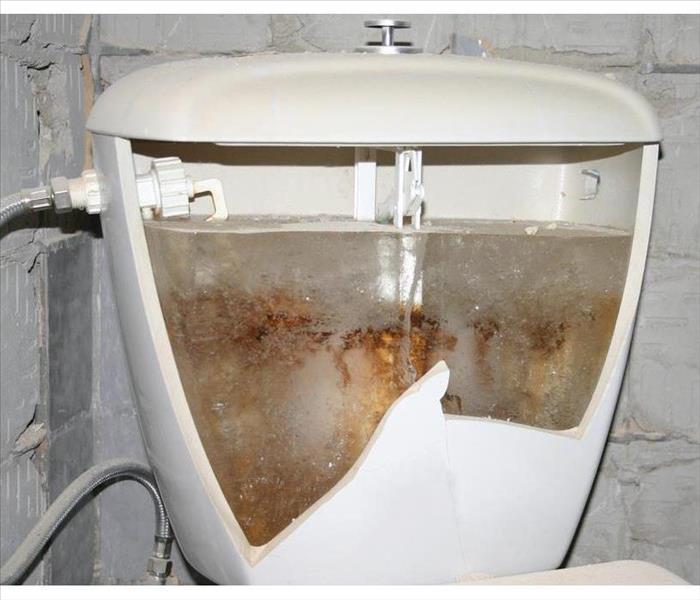 Cracked toilet tank 